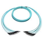 [TCM-BSTST12M3-30] Tconnect Plenum Breakout 12 Fiber ST-ST Multimode 50/125μm (OM3) 30m